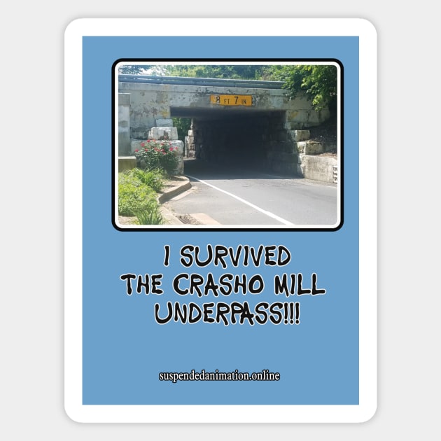 Casho Mill Underpass Survivor Magnet by tyrone_22